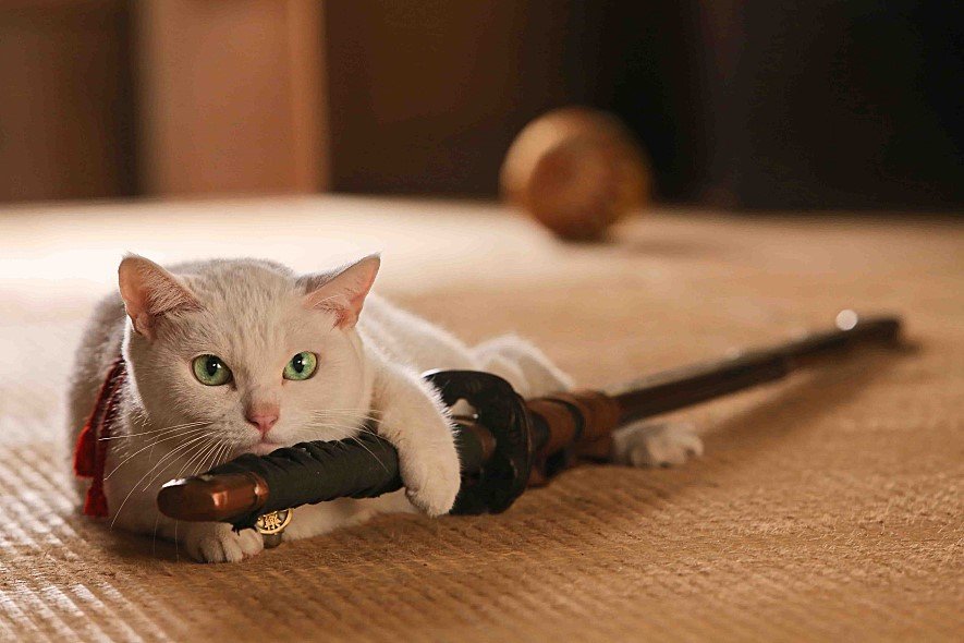 A samurai holding a white cat in the Japanese comedy Samurai Cat
